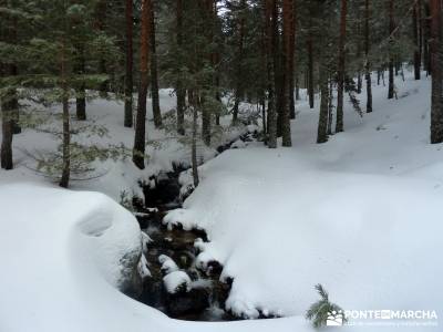 Raquetas de Nieve - Puerto de Cotos; asociaciones senderismo; rios y senderos;rutas por la pedriza s